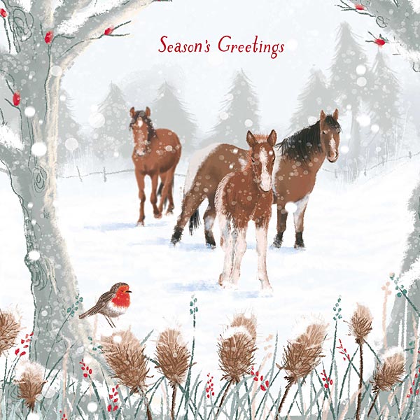 Christmas Cards/Wrap