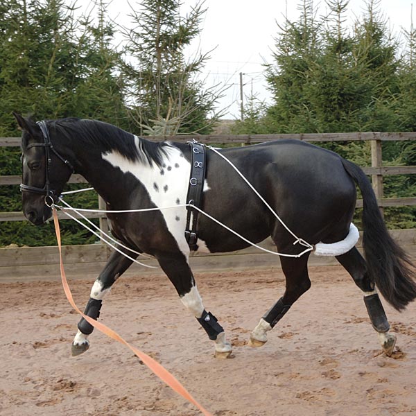 Lunge Equipment