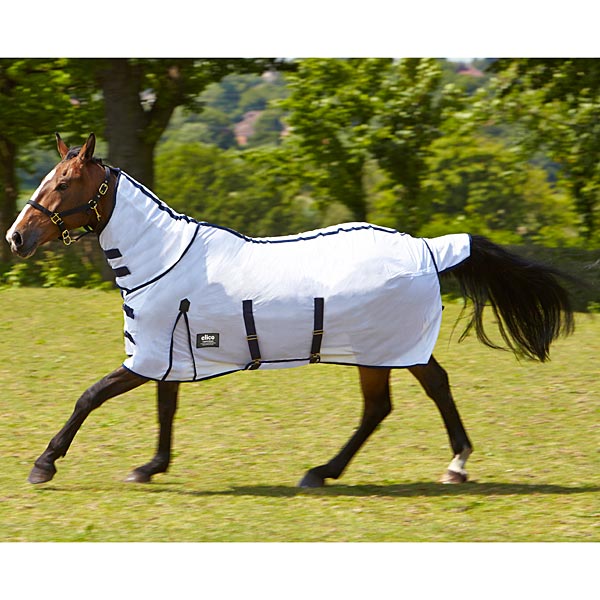 Elico Rugs