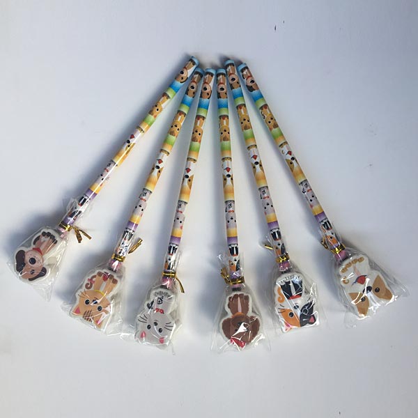 PET Pencil/Eraser  (x 24)