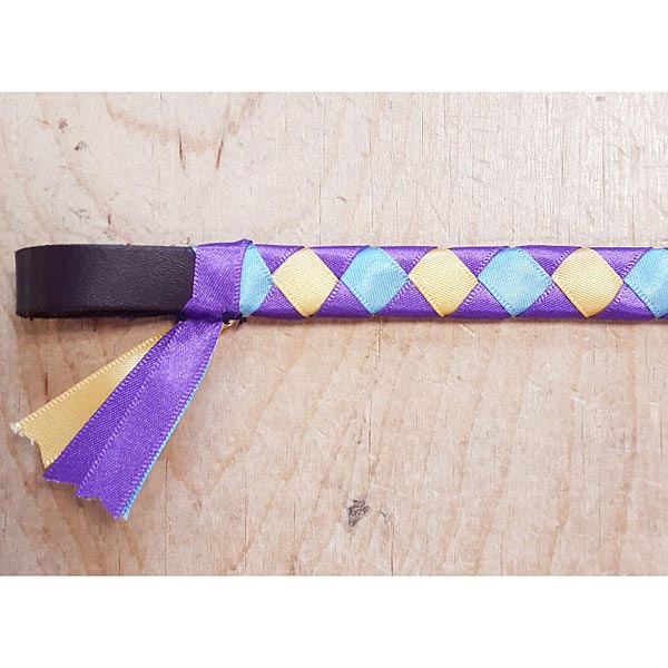 ShowQuest Epson Browbands