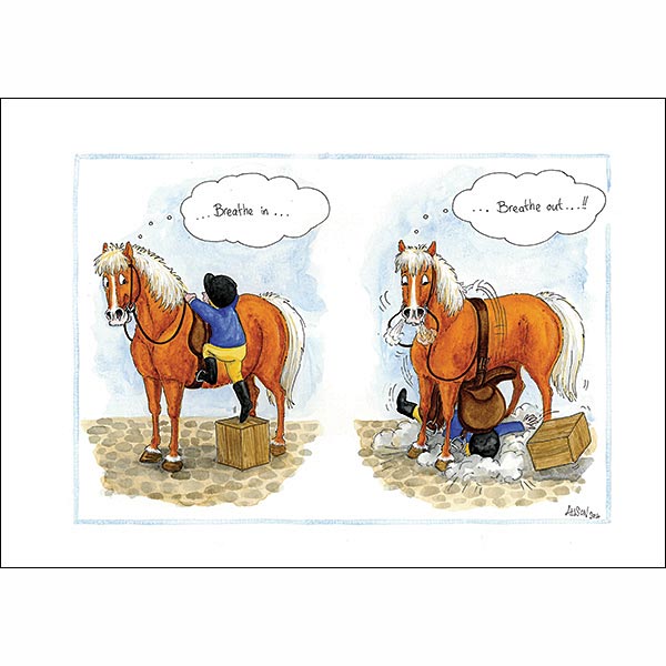 Alison's  Horses Cards