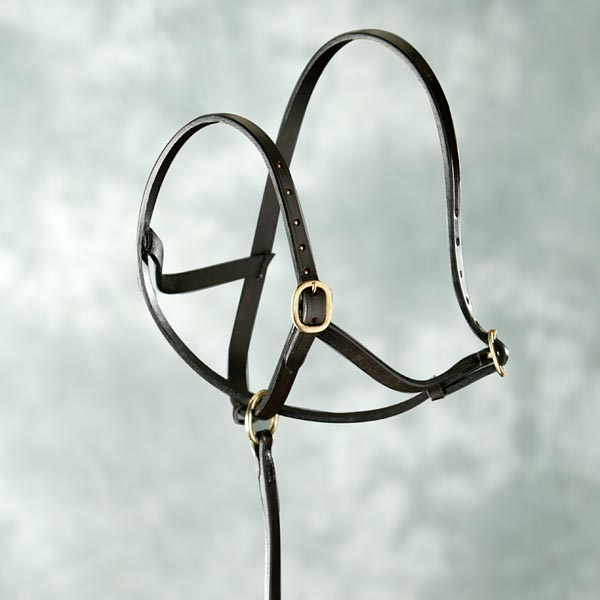 Elico Leather Foal Slip