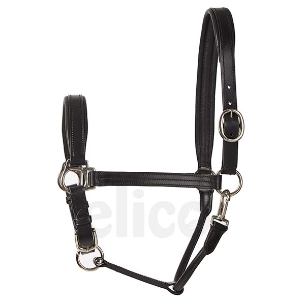 Elico Bremen Leather Headcollars