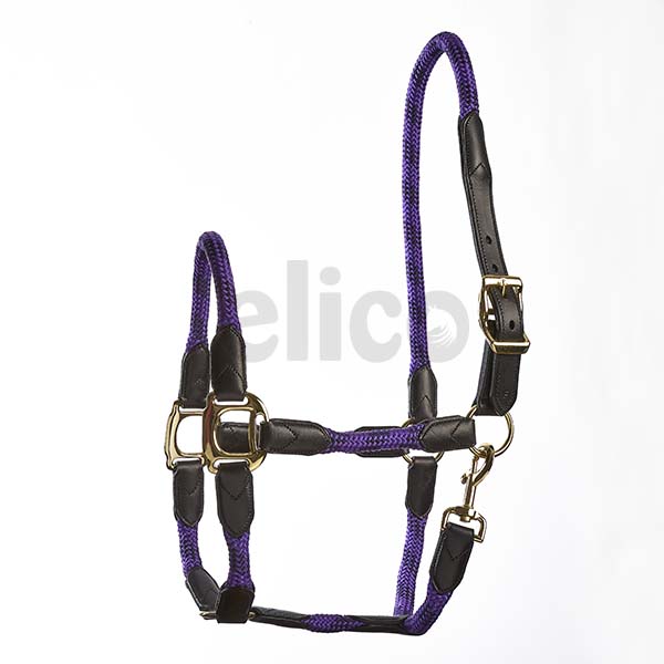 Elico Galway Headcollars: Cob