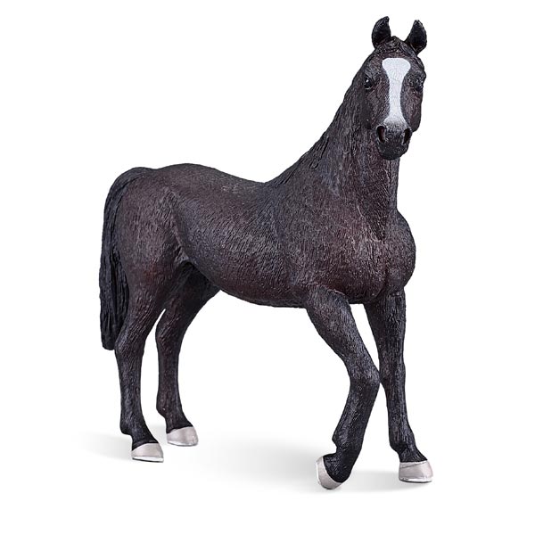 Mojo: Arabian Stallion Black  (3 pack)