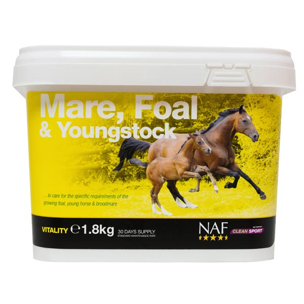 NAF Mare, Foal and Youngstock